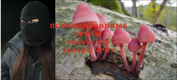 Альфа ПВП Зеленодольск