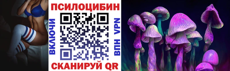 KRAKEN онион Ишим Псилоцибиновые грибы мицелий наркотики