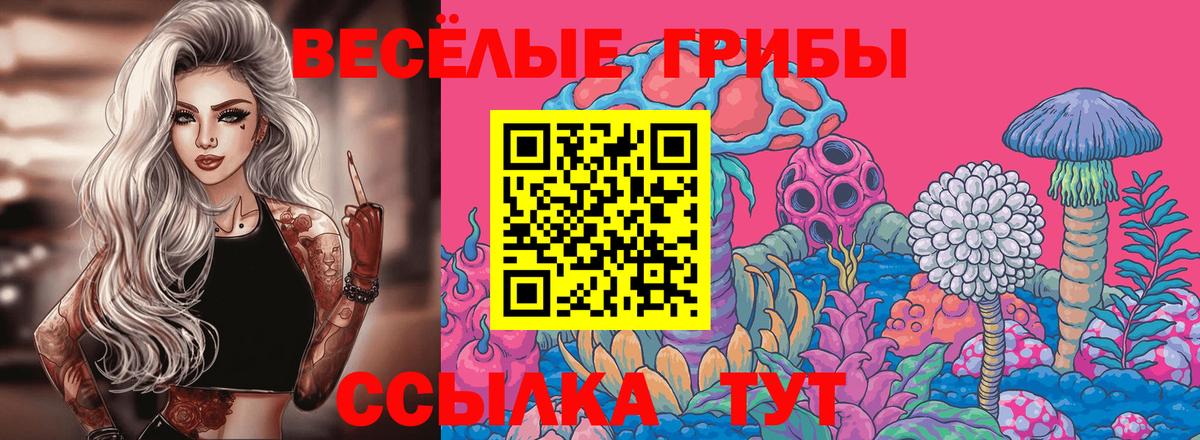 Ишим  Псилоцибиновые грибы Psilocybe  Псилоцибиновые грибы Cubensis  Вход с VPN 