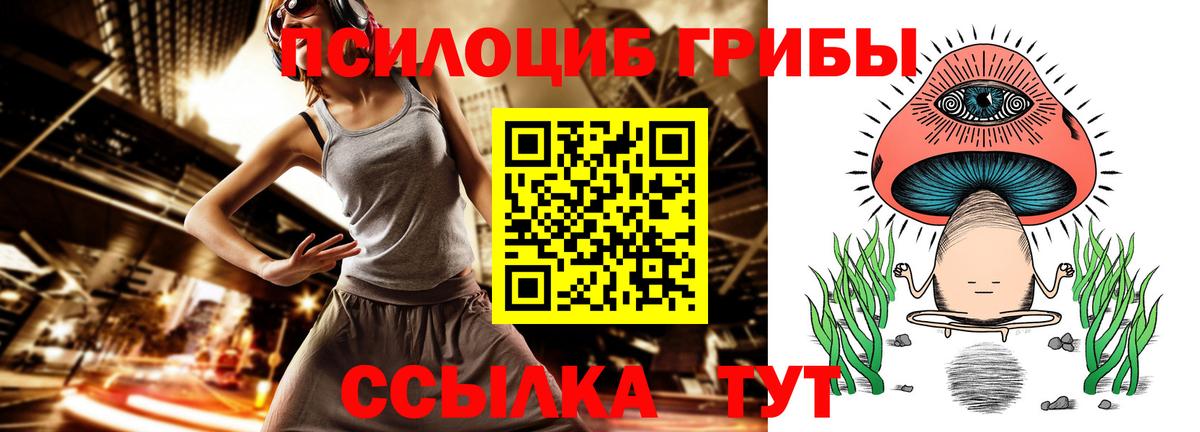 Псилоцибиновые грибы Psilocybe Ишим